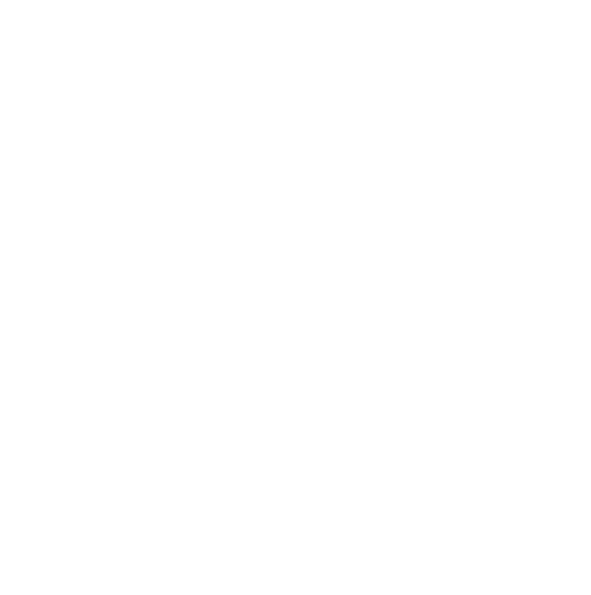 FDOE (Florida Department of Education)- Logo Badge